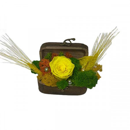 Aranjament floral cu trandafir criogenat, in cutie cufar din lemn, galben, 11 x 5 cm