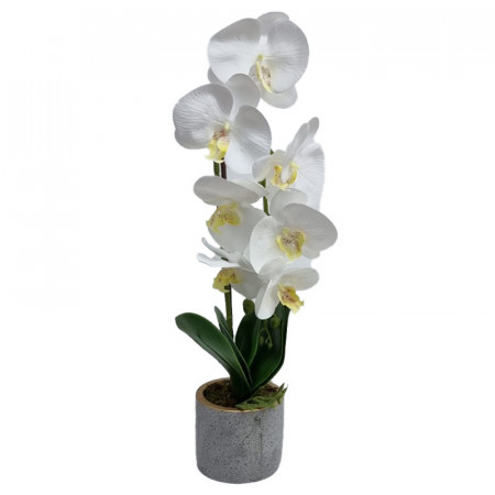 Orhidee cu aspect natural in ghiveci ceramic gri, 50 cm