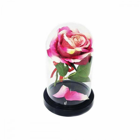 Trandafir artificial in cupola de plastic, pe blat negru, roz-alb, 12 x19 cm