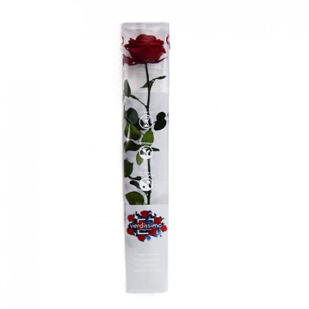 Trandafir Criogenat cu tija, 56 cm