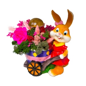 broom