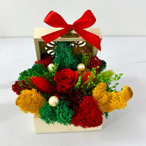 Aranjament floral Goodliness in punga cadou, cu trandafir criogenat, lagurus natural, licheni stabilizati, perle si broom, in cufar din lemn, cu funda, Rosu