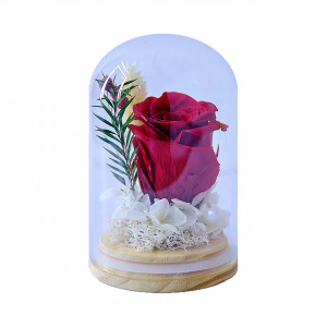 Aranjament floral in cupola de sticla cu trandafir criogenat, 1