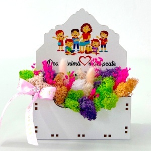 Aranjament floral pentru Educatoare si Invatatoare, cu lagurus si trandafir roz criogenat, licheni stabilizati, in cutiuta decorativa, cu mesaj special - Img 5