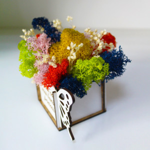 Aranjament floral Whiff "Pentru cea mai buna prietena" , licheni stabilizati si plante uscate, in cutie de lemn - Img 4