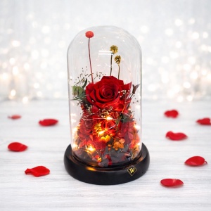 Buchet de trandafiri criogenat in cupola de sticla cu LED, rosu, 21X12