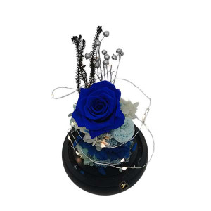 Buchet de trandafiri criogenati in cupola de sticla cu LED, albastru - blue, 21X12
