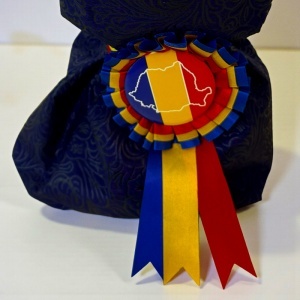 Buchet tricolor din trandafiri de săpun cu insigna României – cadou simbolic și elegant - Img 4