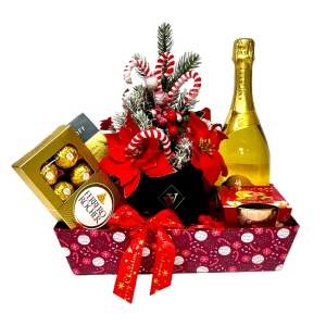Pachet Merry Christmas, cu aranjament Flower Christmas, cafea Davidoff, praline Ferrero Rocher, vin spumant Angelli, lumanare parfumata, ambalate in cos cadou, Rosu-Verde