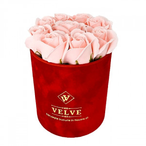 Pachet cadou Velvet, cu 9 trandafiri de sapun, in cutie rosie de catifea, Roz pal, suport bijuterii in forma de silueta si pantof 2