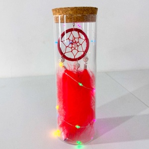 Prinzator de vise in suport din plastic, cu LED, DreamCatcher Rosu