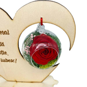 Tablou in forma de inima cu trandafir criogenat si mesaj text, rosu