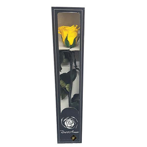 Trandafir Criogenat cu tija, 30 cm, Galben