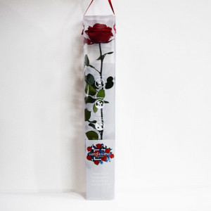 Trandafir Criogenat cu tija, 56 cm