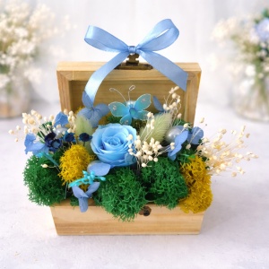 Aranjament floral Goodliness in punga cadou, cu trandafir criogenat, lagurus natural, licheni stabilizati, fluture decorativ, perle si broom, in cutie tip cufar, cu funda, Albastru