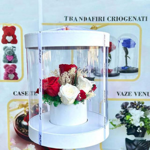 Aranjament floral in cutie cilindrica transparenta, cu 11 trandafiri criogenati pe pat de licheni stabilizati, alb 