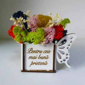 Aranjament floral Whiff, in cutie de lemn, cu personalizare serigrafica, licheni stabilizati si plante uscate, Prietena/Crem2