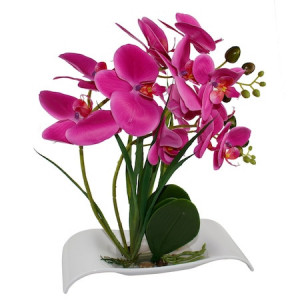 Orhidee cu aspect natural in ghiveci alb tip barcuta Fucsia