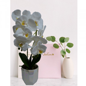 Orhidee cu aspect natural in ghiveci ceramic alb, 50 cm Alb