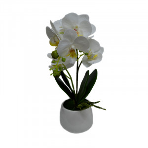 Orhidee cu aspect natural in ghiveci ceramic rotund alb, 35 cm Alb