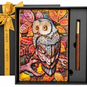 Set Artis Color cu agenda nedatata si pix, model Bufnita in relief, in cutie cadou