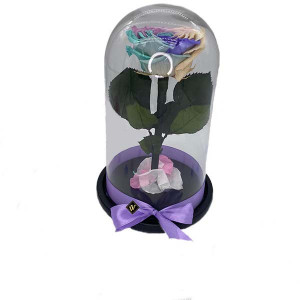 Trandafir Criogenat cu accesorii, blat negru, pe pat de petale, albastru-roz-galben - Img 2