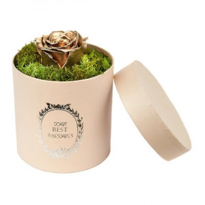 Trandafir criogenat Pretty in Pink decorat in cutie rotunda cu licheni naturali stabilizati Auriu
