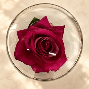 Trandafir decorativ cu LED, in cupola transparenta, 20 cm, in cutie cadou, Bordo - Img 2