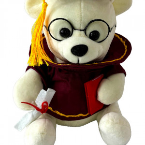 Ursulet de plus Graduate Teddy, cu toca si diploma de absolvire, Inaltime 25 cm, Alb cu visiniu 3
