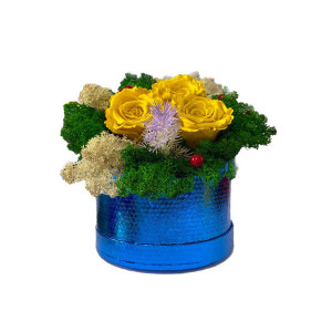 Aranjament Floral Midnight Dream cu 3 trandafiri criogenati pe pat de licheni naturali stabilizati Galben