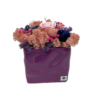 Aranjament floral Squerees, in vas patrat cu licheni stabilizati, trandafir roz si achillea burghundi