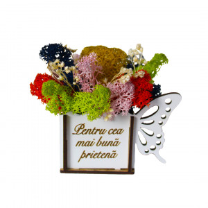 Aranjament floral Whiff "Pentru cea mai buna prietena" , licheni stabilizati si plante uscate, in cutie de lemn - Img 6