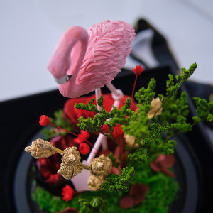 Aranjament cu flori criogenate si Flamingo, in cupola de sticla si cutie cadou