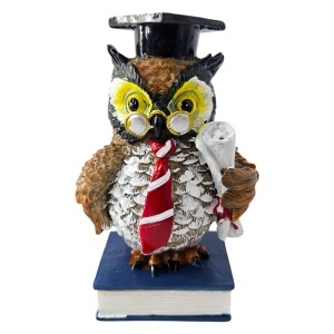 Figurina din rasina Bufnita absolvent cu diploma, simbol intelepciune, 16 cm - Img 2