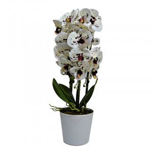 Orhidee cu aspect natural in ghiveci ceramic alb, 60 cm - Img 4