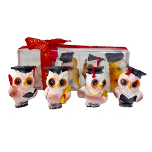 Set 4 Figurine Decorative in forma de bufnite cu toca de absolvire, 16x4x6cm