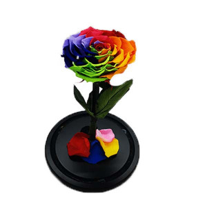Trandafir Criogenat cu accesorii, blat negru, pe pat de petale, multicolor