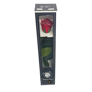 Trandafir Criogenat cu tija, 30 cm, Rosu sidefat