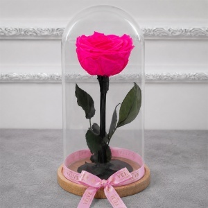 Trandafir criogenat premium XL roz fucsia in cupola de sticla, inaltime 24 cm - Img 2