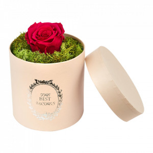 Trandafir criogenat Pretty in Pink decorat in cutie rotunda cu licheni naturali stabilizati Fucsia