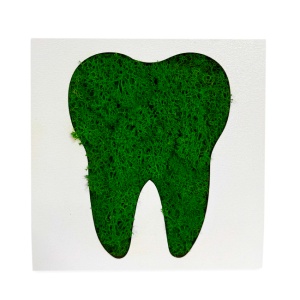Zambet Verde, tablou cu licheni naturali stabilizati, Verde - Img 2