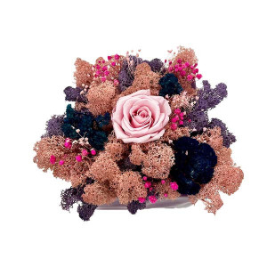 Aranjament floral Squerees, in vas patrat cu licheni stabilizati, trandafir roz si achillea burghundi