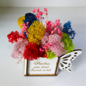 Aranjament floral Whiff, in cutie de lemn, cu personalizare serigrafica, licheni stabilizati si plante uscate, Sora/Roz