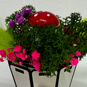 Aranjament floral Whiff, in cutie de lemn rotunda, licheni stabilizati si plante uscate