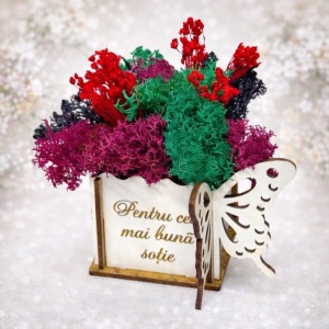 Aranjament floral Whiff "Pentru cea mai buna sotie", licheni stabilizati si plante uscate, in cutie de lemn