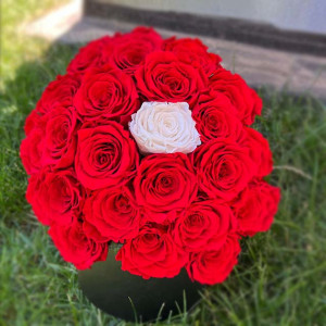Buchet floral cu 23 de trandafiri criogenati