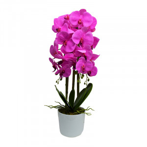 Orhidee cu aspect natural in ghiveci ceramic alb, 60 cm - Img 5