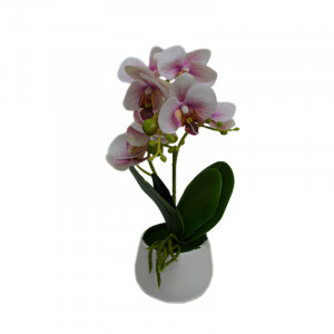 Orhidee cu aspect natural in ghiveci ceramic rotund alb, 35 cm Roz