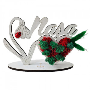 Ornament din lemn Draw Me, ce poate fi personalizat cromatic, cu tematica individuala (Nasa), cu buburuza rosie, licheni stabilizati si imortele, Verde