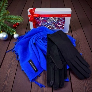 Pachet Secret , pentru femei, cu esarfa lunga Belladona si manusi elegante, asortate, in cutie cu fereastra, Albastru royal - Img 3